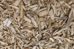 biomass boilers Cerrig Llwydion