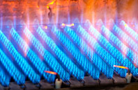 Cerrig Llwydion gas fired boilers
